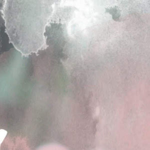 Meet your Posher, Afnan